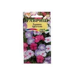 Набор семян комнатных Барвинок "Щеголь",  5 шт.