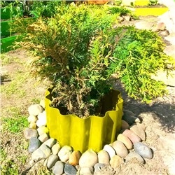 Ограждение для клумбы, 110×24 см, жёлтое, «Волна», Greengo