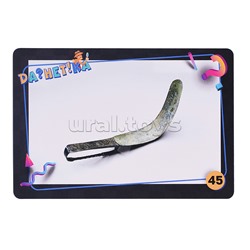 Игра "Да!Нет?ка" Загадочные изобретения" в картинках