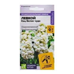 Семена цветов  Левкой Кац "Белое чудо", ц/п,  махровый, 8 шт