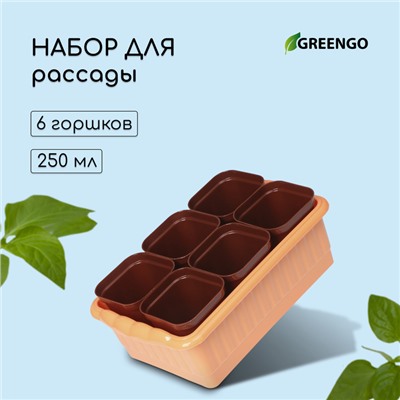 Набор для рассады: стаканы по 250 мл (6 шт.), ящик 25 × 16 см, МИКС