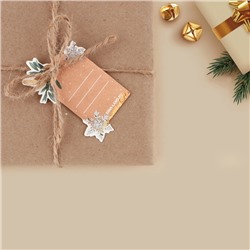 Шильдик декоративный на подарок «С Новым годом», 4.5×7 см