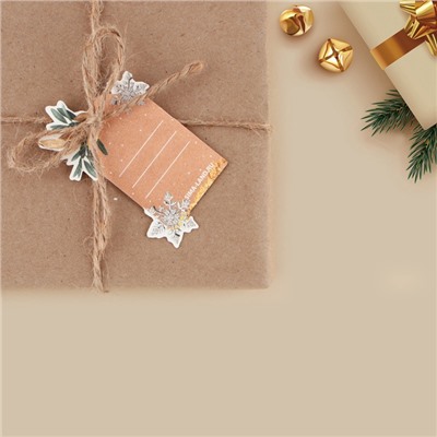 Шильдик декоративный на подарок «С Новым годом», 4.5×7 см