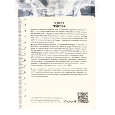 Гейхера (Хеухера) гибридная Берри Смути, корневище в пакете с торфогрунтом, р-р I, 1 шт.