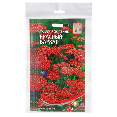 Набор семян Тысячелистник "Ахиллея", 5 шт.