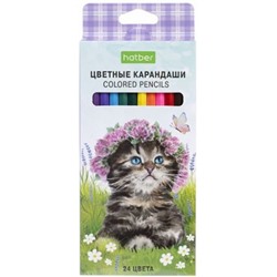 Карандаши 24цв "Котики бывают разными" ECO (084401) Хатбер