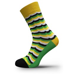 Классические Брестские Носки мужские CLASSIC 2127