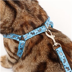 Комплект «Собачки», ширина 1 см, поводок 1.2 м, шлейка 23-35 см, голубой