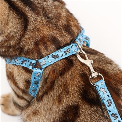 Комплект «Собачки», ширина 1 см, поводок 1.2 м, шлейка 23-35 см, голубой