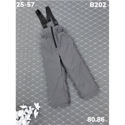 Брюки B202 серый