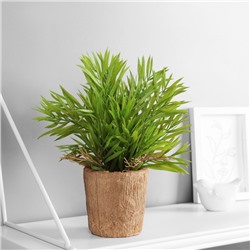 Искусственный цветок в горшке «Хамедорея экстра», 8×24 см, МИКС