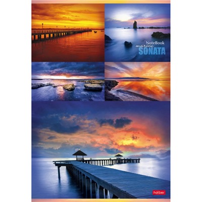 Тетрадь А4  96л клетка "Гаснет день в безбрежных небесах" (047083) Хатбер