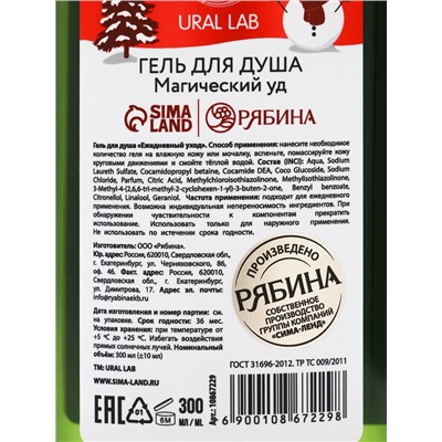 Подарочный набор Magical warm winter, гель для душа 300 мл и соль для ванны 200 мл, URAL LAB