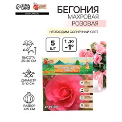 Бегония махровая «Розовая», луковицы, р-р 4/5, 5 шт.