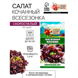 Семена Салат кочанный "Всесезонка", 0,5 г