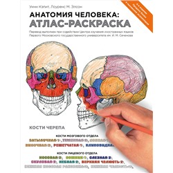 Эксмо Лоуренс М. Элсон, Уинн Кэпит "Анатомия человека: атлас-раскраска"