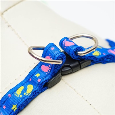 Комплект «Цветные следы», ширина 1 см, поводок 120 см, шлейка 23-35 см, синий