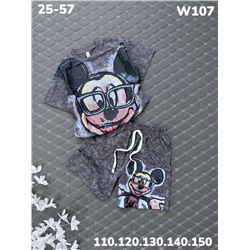 Костюм W107 серый