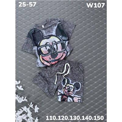 Костюм W107 серый