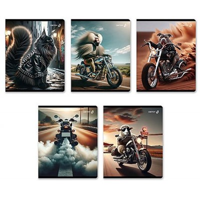 Тетрадь  48л клетка "Это кто на мотоцикле?" 01505 (Т71) SVETOCH