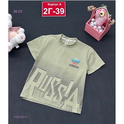 футболка 1720740-4