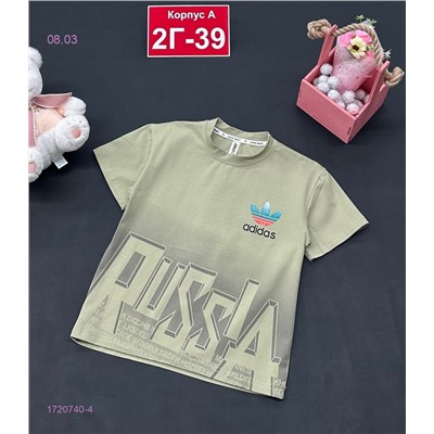 футболка 1720740-4
