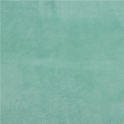 Плед с рукавами «Этель», 150×200 см, корал-флис, мятный