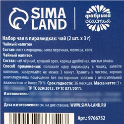Чай подарочный новогодний «Тепло на двоих», набор 2 шт.×3 г