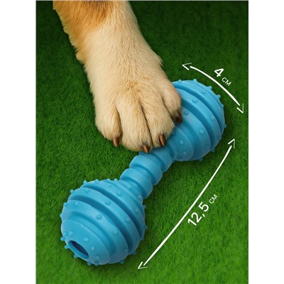 Игрушка жевательная «Чемпион», TPR, 12.5 см, голубая