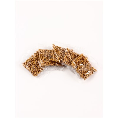 Проращиватель травы для кошек 15×10×4 (семена овса), оранжевый