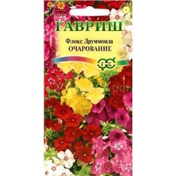 Флокс Очарование смесь (Гавр)