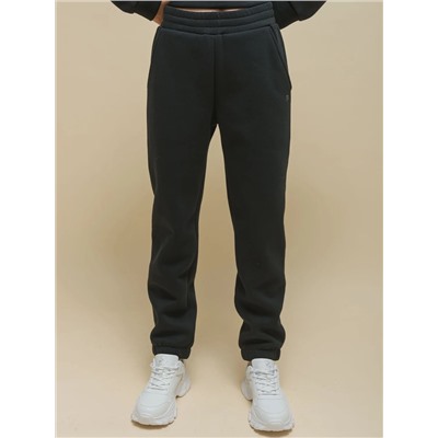 PELICAN Брюки UFPQ4323