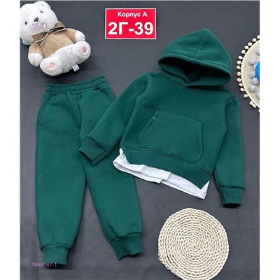 Костюм с начесом 1849047-1