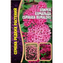 Спирея Бумальда (Редкие)