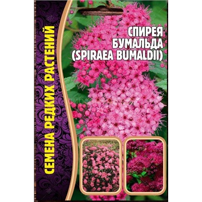 Спирея Бумальда (Редкие)
