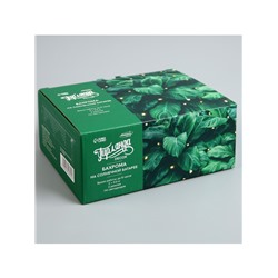 Гирлянда «Бахрома», 3×0.6 м, уличная, IP44, 114 LED, 8 режимов, солнечная батарея, прозрачная нить, свечение тёплое белое