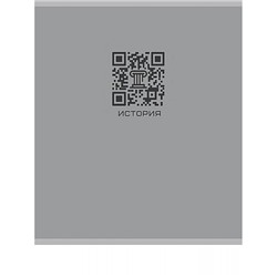 Тетрадь 48л "КЬЮАР-КОД" по истории 48-9933 Проф-Пресс