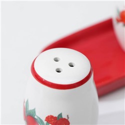 Набор для специй Доляна «Гранат», солонка, перечница 130 мл, на подставке, доломит, белый, красный