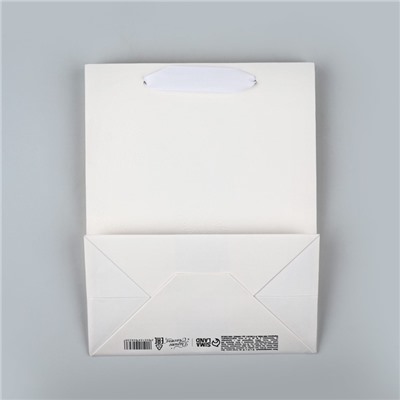 Пакет подарочный новогодний ламинированный «Снежинки», MS 18×23×10 см