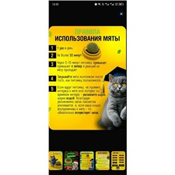 Форма #23320629