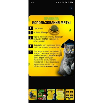 Форма #23342100