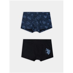 ТРУСЫ МУЖСКИЕ (2ШТ) 411229-2