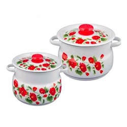 Набор кастрюль (5,5л, 4л) РАМО эмаль белый с деколью на крышке N10B60