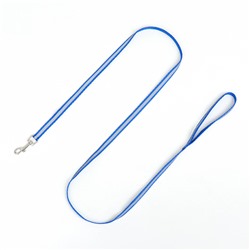 Комплект для кошек, шлейка 21-35 см, ширина 1 см, поводок 120 см, светоотражающий, синий