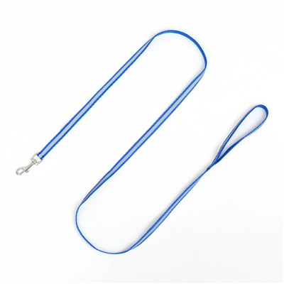 Комплект для кошек, шлейка 21-35 см, ширина 1 см, поводок 120 см, светоотражающий, синий