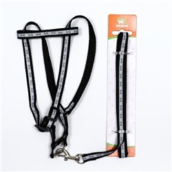 Шлейка с поводком «Косточки», ОШ 22-34 см, ОГ 22-34 см, поводок 1×120 см, светоотражающая, чёрная