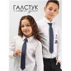 Соль&Перец Галстук SP304A