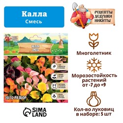 Калла "Смесь", р-р 10/12, 5 шт, Весна 2025