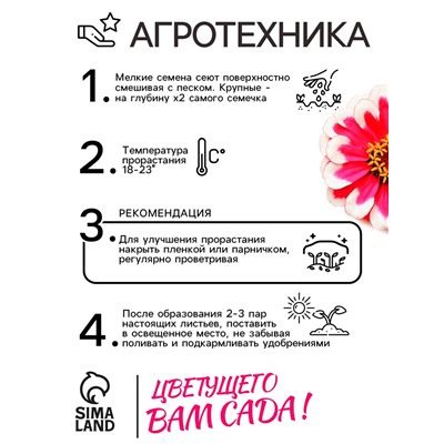 Семена цветов  Цинния Захара "Северная звезда", ц/п,  5 шт