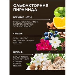 Туалетная вода для мужчин Don Leon